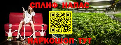 тгк Заводоуковск