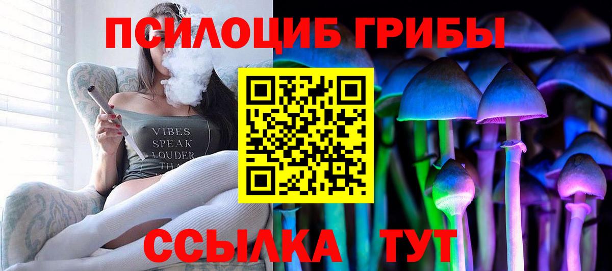 Южно-Сахалинск  Псилоцибиновые грибы Cubensis  Вход с VPN 